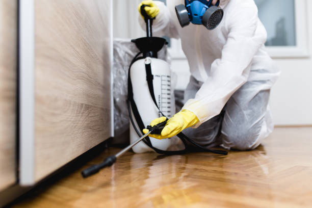 Best Pest Inspection Near Me  in Temple City, CA