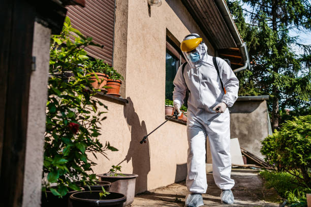 Best Pest Prevention Services  in Temple City, CA