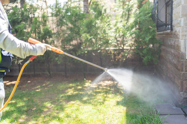 Best Pest Control Near Me  in Temple City, CA