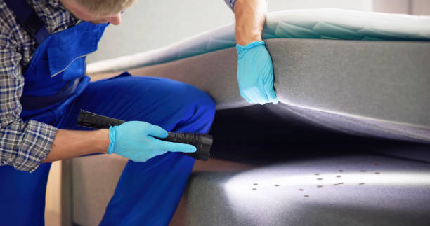 Best Pest Control Near Me  in Temple City, CA