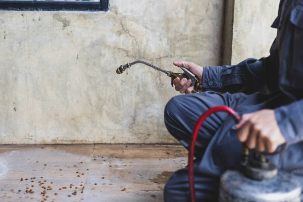 Best Wasp Removal Services  in Temple City, CA