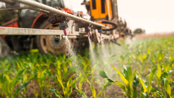 Best Commercial Pest Control Services  in Temple City, CA