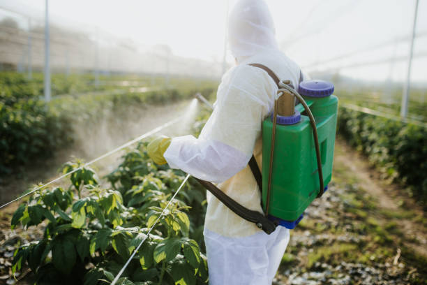 Pest Prevention Services in Temple City, CA